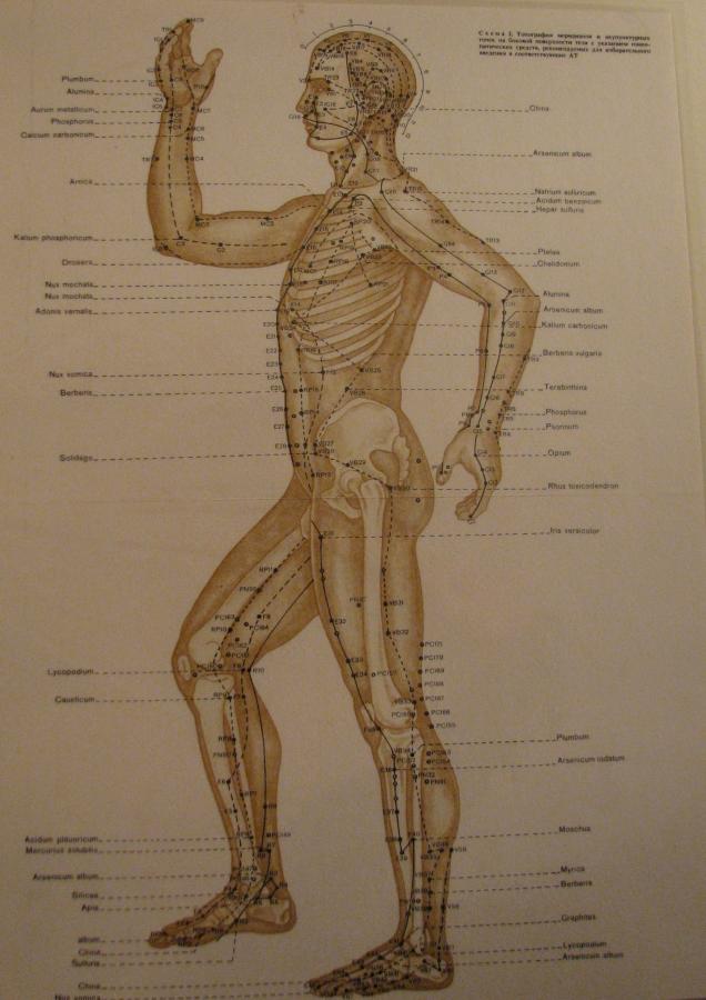 Akupunktūros meridianų ir taškų schema